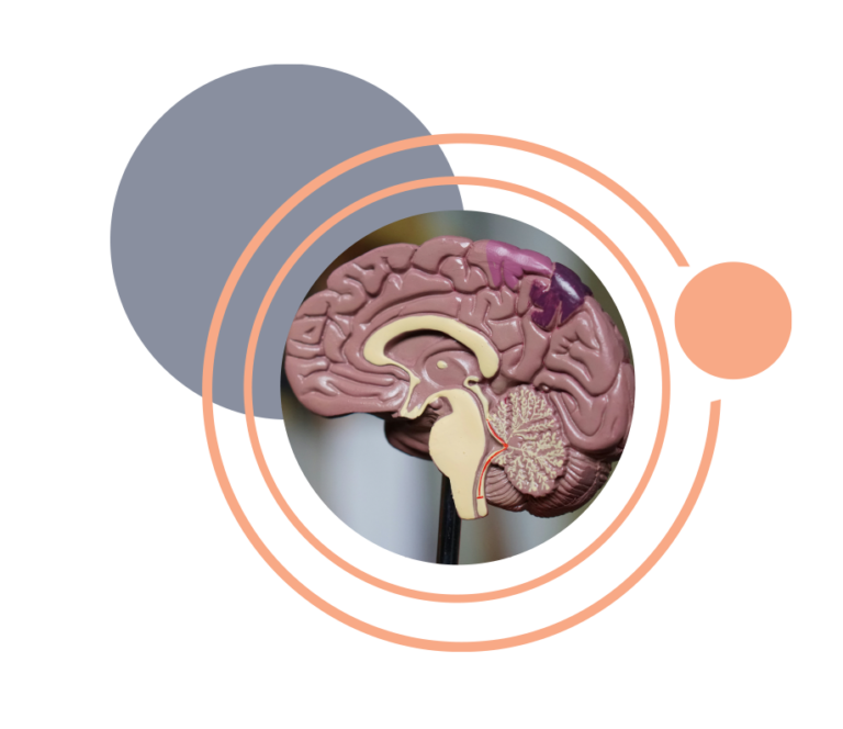 Cognis klinicna psihologija nevropsiholoska diagnostika mozgani 1 - Cognis klinična psihologija